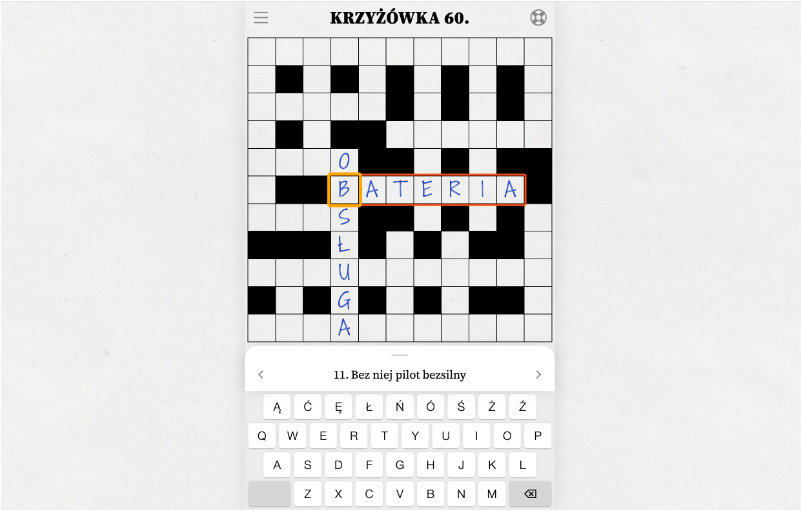 Krzyżówki.pro – zrzut ekranu